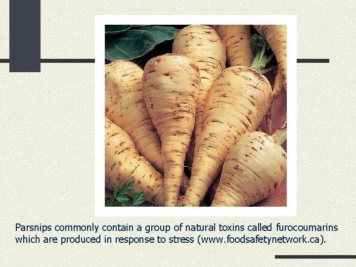 Parsnips commonly contain a group of natural toxins called furocoumarins which are produced in