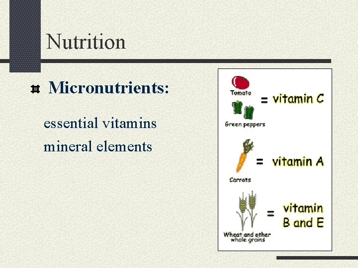 Nutrition Micronutrients: essential vitamins mineral elements 