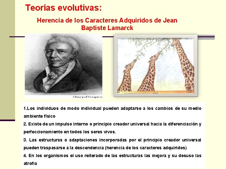 Teorías evolutivas: Herencia de los Caracteres Adquiridos de Jean Baptiste Lamarck 1. Los individuos