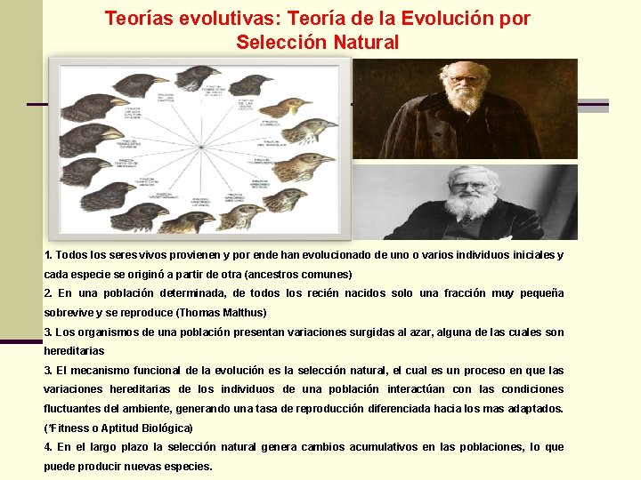 Teorías evolutivas: Teoría de la Evolución por Selección Natural 1. Todos los seres vivos