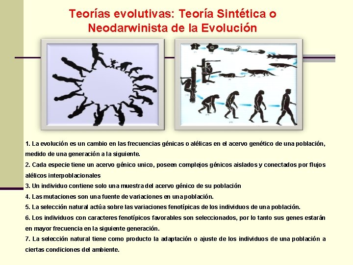 Teorías evolutivas: Teoría Sintética o Neodarwinista de la Evolución 1. La evolución es un