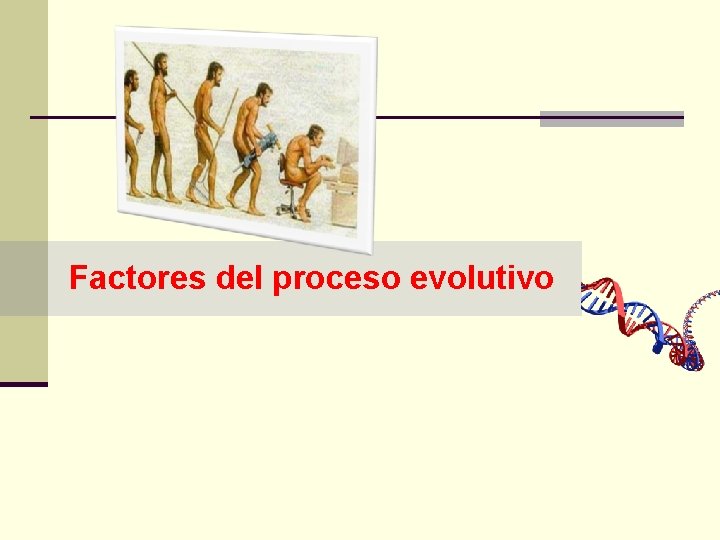 Factores del proceso evolutivo 