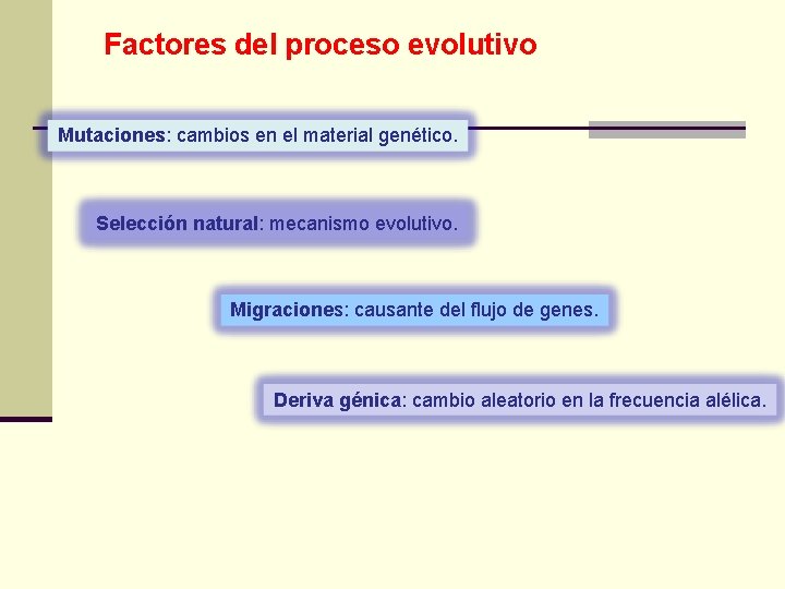 Factores del proceso evolutivo Mutaciones: cambios en el material genético. Selección natural: mecanismo evolutivo.