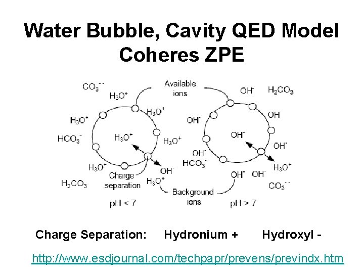 Water Bubble, Cavity QED Model Coheres ZPE Charge Separation: Hydronium + Hydroxyl http: //www.