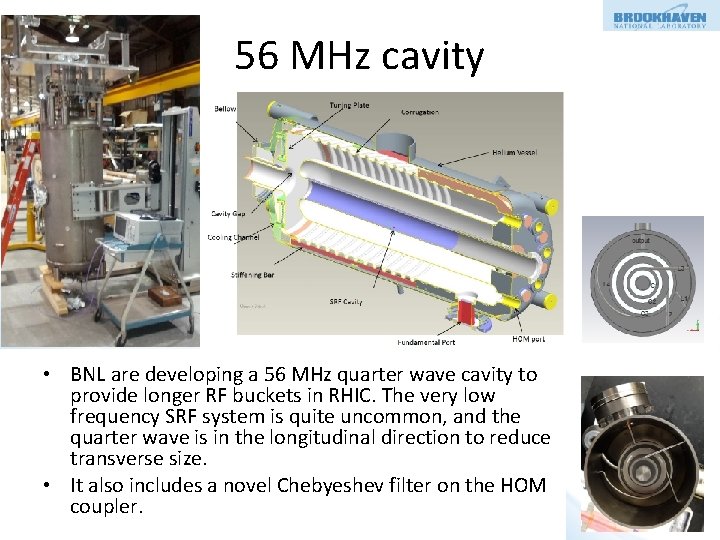 56 MHz cavity • BNL are developing a 56 MHz quarter wave cavity to
