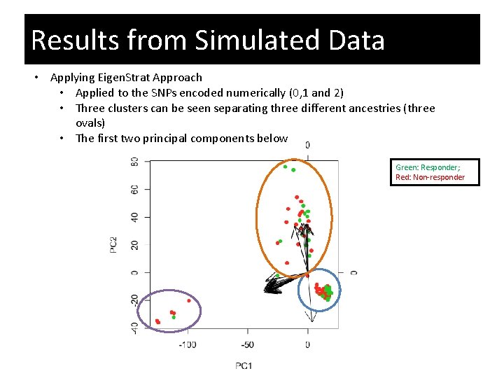 Results from Simulated Data • Applying Eigen. Strat Approach • Applied to the SNPs