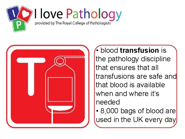  • blood transfusion is the pathology discipline that ensures that all transfusions are