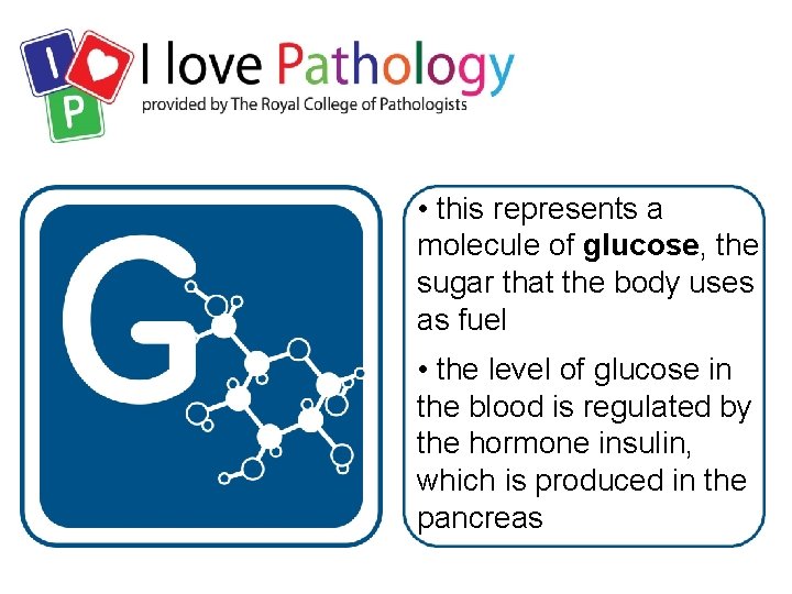  • this represents a molecule of glucose, the sugar that the body uses