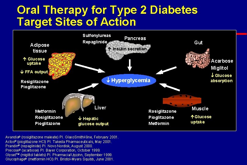 Oral Therapy for Type 2 Diabetes Target Sites of Action Adipose tissue Sulfonylureas Repaglinide