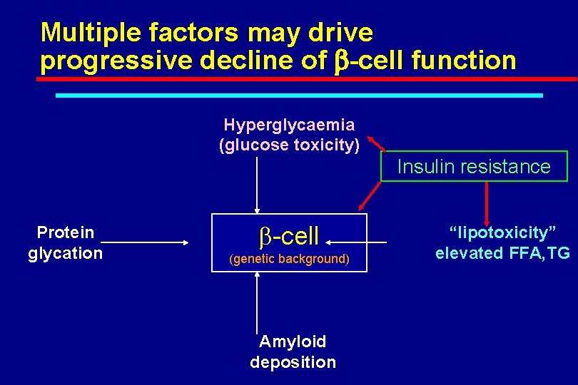 Multiple factors may drive progressive decline of b-cell function Hyperglycaemia (glucose toxicity) Insulin resistance