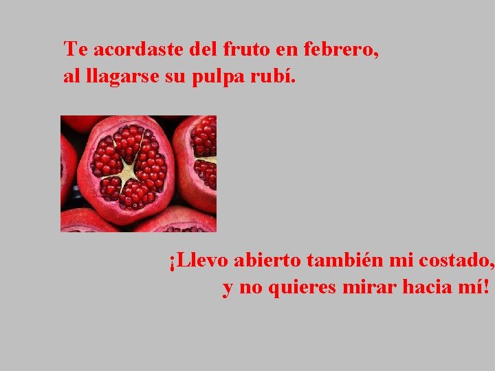 Te acordaste del fruto en febrero, al llagarse su pulpa rubí. ¡Llevo abierto también