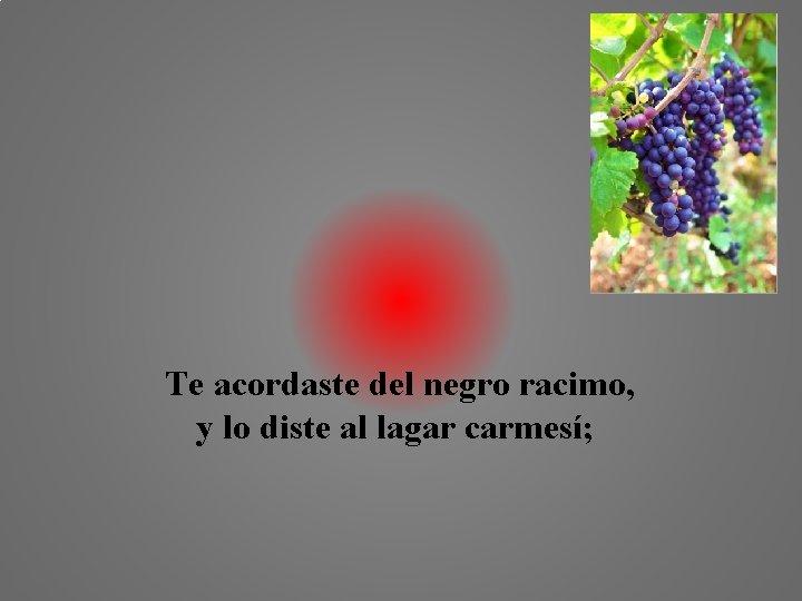 Te acordaste del negro racimo, y lo diste al lagar carmesí; 