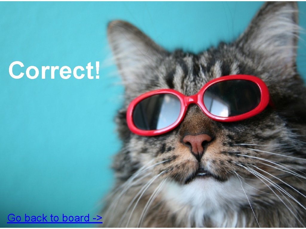 Correct! Go back to board -> 