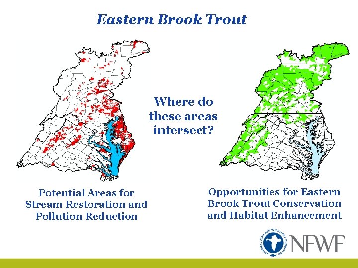 Eastern Brook Trout Where do these areas intersect? Potential Areas for Stream Restoration and