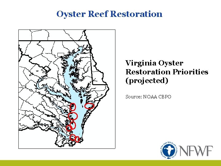 Oyster Reef Restoration Virginia Oyster Restoration Priorities (projected) Source: NOAA CBPO 