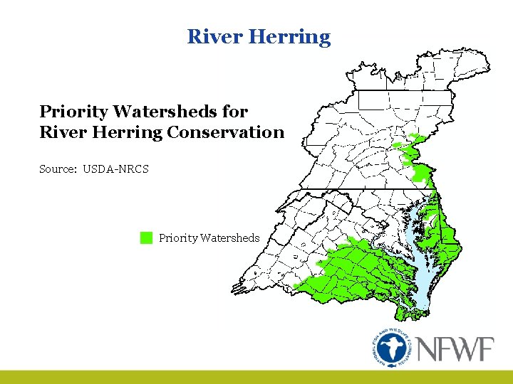 River Herring Priority Watersheds for River Herring Conservation Source: USDA-NRCS Priority Watersheds 