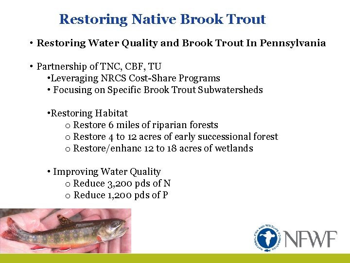 Restoring Native Brook Trout • Restoring Water Quality and Brook Trout In Pennsylvania •