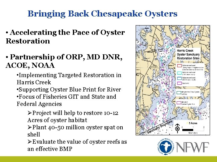 Bringing Back Chesapeake Oysters • Accelerating the Pace of Oyster Restoration • Partnership of