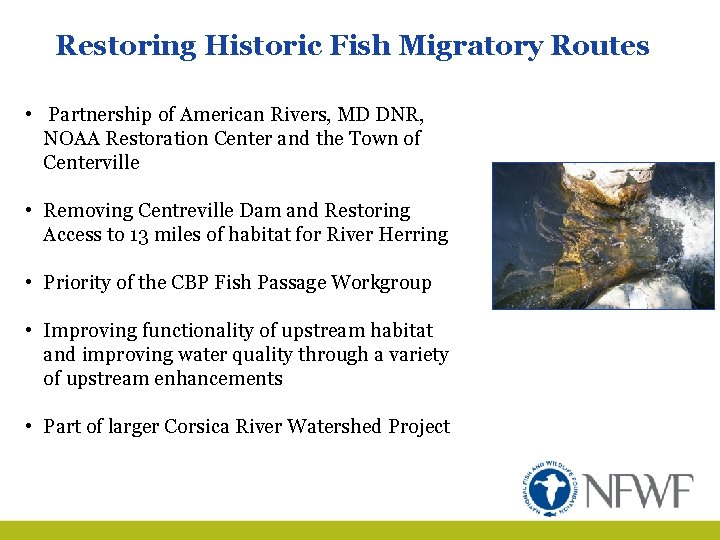 Restoring Historic Fish Migratory Routes • Partnership of American Rivers, MD DNR, NOAA Restoration