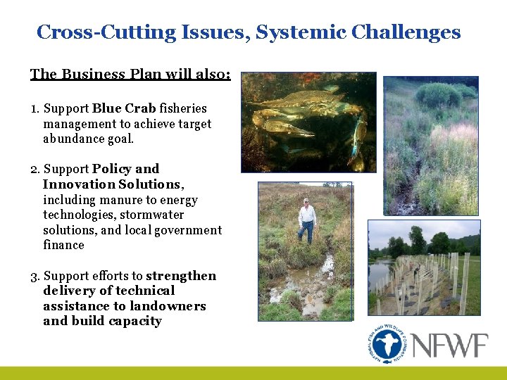 Cross-Cutting Issues, Systemic Challenges The Business Plan will also: 1. Support Blue Crab fisheries