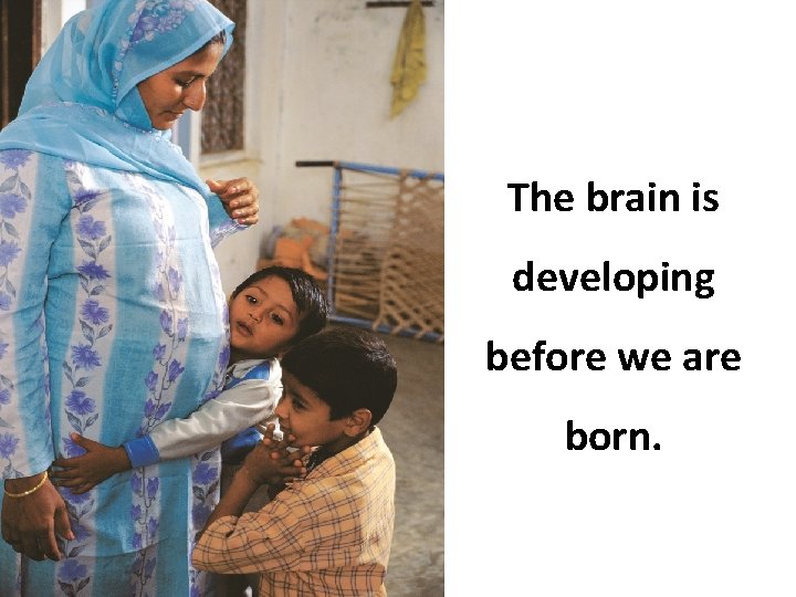 The brain is developing before we are born. 