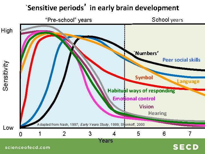 `Sensitive periods’ in early brain development School years “Pre-school” years High Sensitivity `Numbers’ Peer