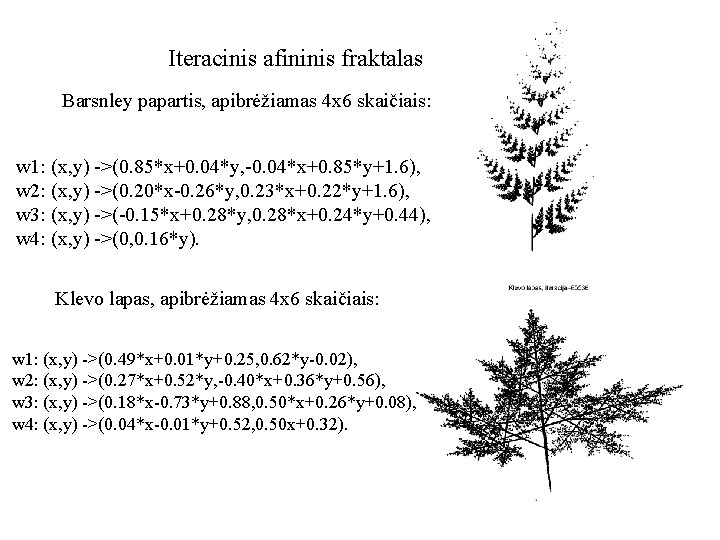 Iteracinis afininis fraktalas Barsnley papartis, apibrėžiamas 4 x 6 skaičiais: w 1: (x, y)