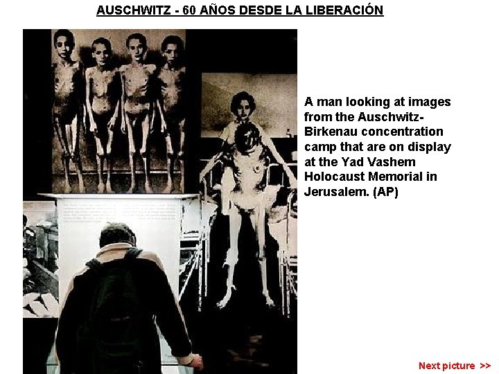 AUSCHWITZ - 60 AÑOS DESDE LA LIBERACIÓN A man looking at images from the