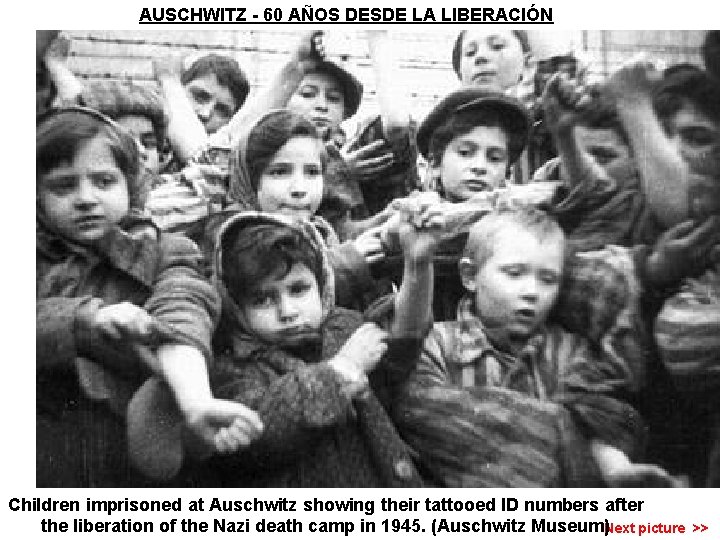 AUSCHWITZ - 60 AÑOS DESDE LA LIBERACIÓN Children imprisoned at Auschwitz showing their tattooed