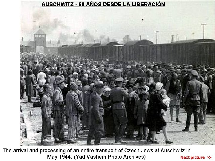 AUSCHWITZ - 60 AÑOS DESDE LA LIBERACIÓN The arrival and processing of an entire