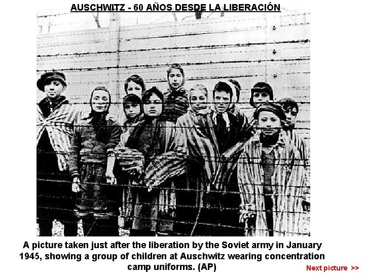 AUSCHWITZ - 60 AÑOS DESDE LA LIBERACIÓN A picture taken just after the liberation