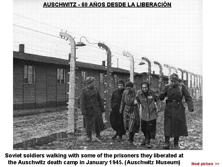AUSCHWITZ - 60 AÑOS DESDE LA LIBERACIÓN Soviet soldiers walking with some of the