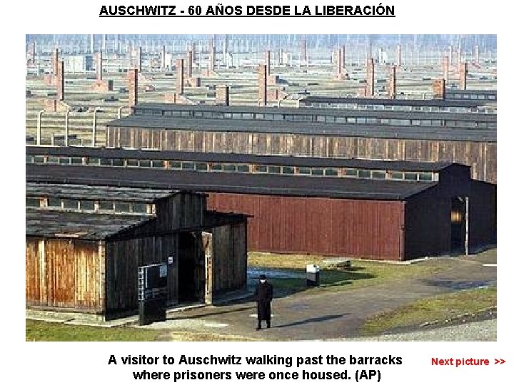 AUSCHWITZ - 60 AÑOS DESDE LA LIBERACIÓN A visitor to Auschwitz walking past the