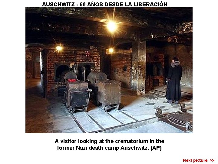 AUSCHWITZ - 60 AÑOS DESDE LA LIBERACIÓN A visitor looking at the crematorium in