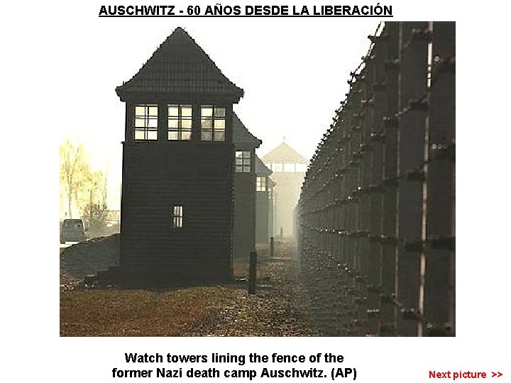 AUSCHWITZ - 60 AÑOS DESDE LA LIBERACIÓN Watch towers lining the fence of the