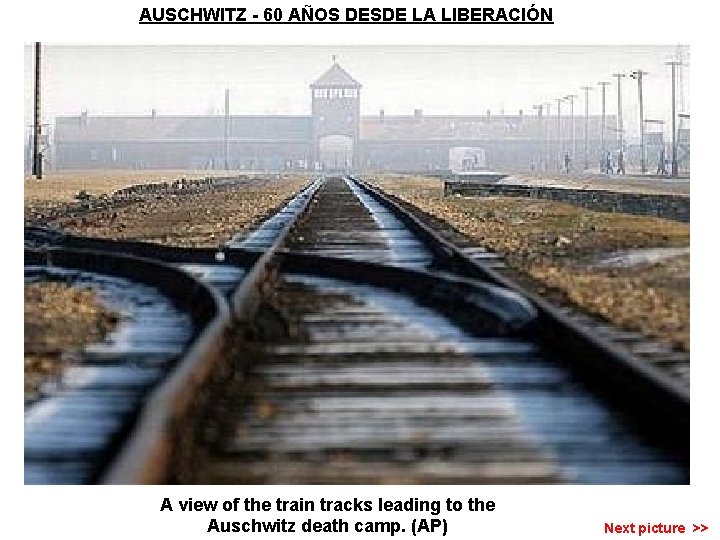 AUSCHWITZ - 60 AÑOS DESDE LA LIBERACIÓN A view of the train tracks leading