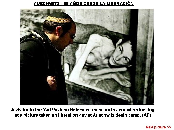 AUSCHWITZ - 60 AÑOS DESDE LA LIBERACIÓN A visitor to the Yad Vashem Holocaust