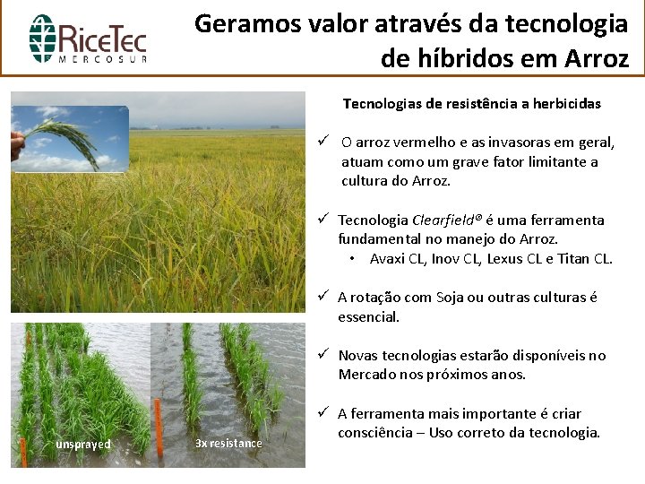 Geramos valor através da tecnologia de híbridos em Arroz Tecnologias de resistência a herbicidas