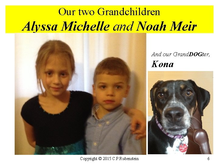 Our two Grandchildren Alyssa Michelle and Noah Meir And our Grand. DOGter, Kona Copyright