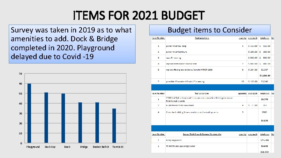 ITEMS FOR 2021 BUDGET Survey was taken in 2019 as to what amenities to