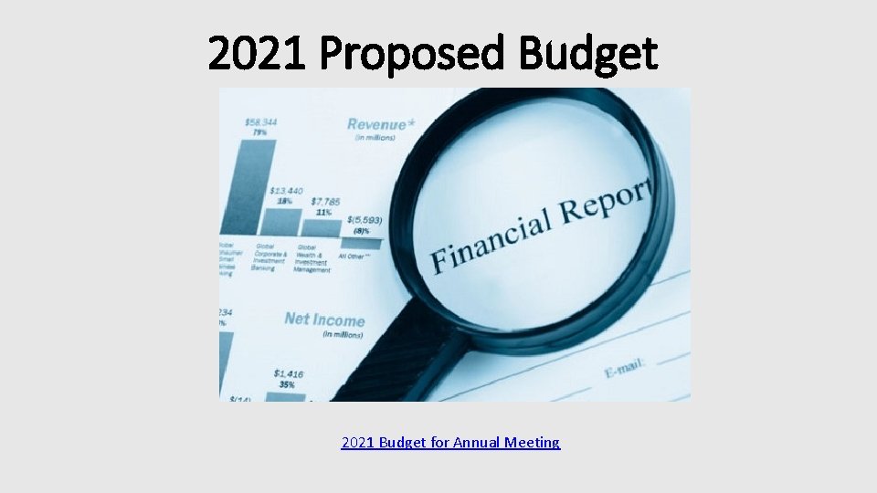 2021 Proposed Budget 2021 Budget for Annual Meeting 