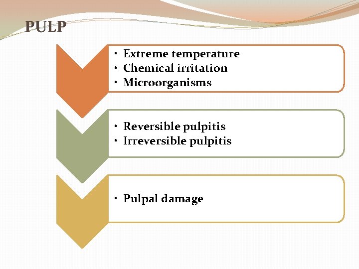 PULP • Extreme temperature • Chemical irritation • Microorganisms • Reversible pulpitis • Irreversible