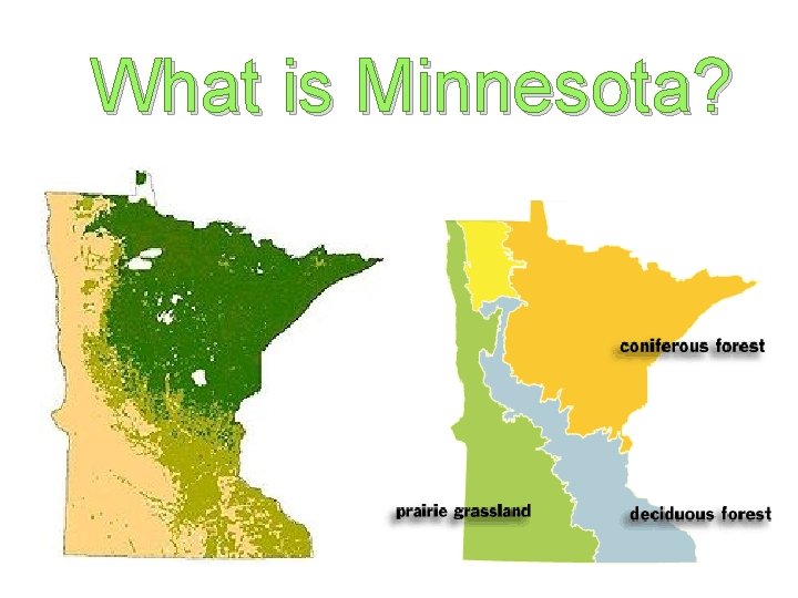 What is Minnesota? 