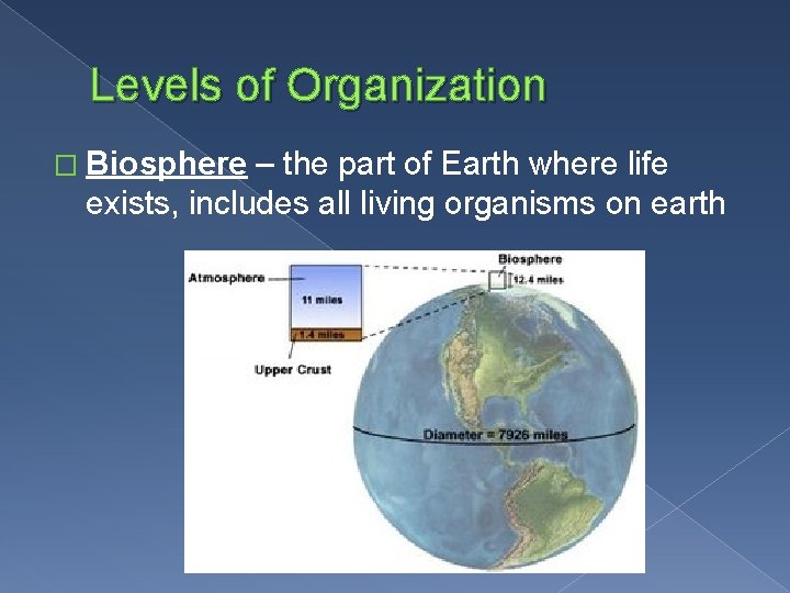Levels of Organization � Biosphere – the part of Earth where life exists, includes