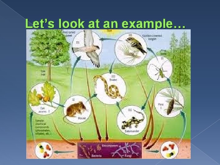 Let’s look at an example… 