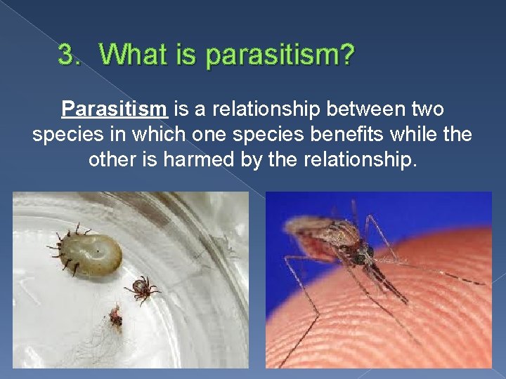 3. What is parasitism? Parasitism is a relationship between two species in which one