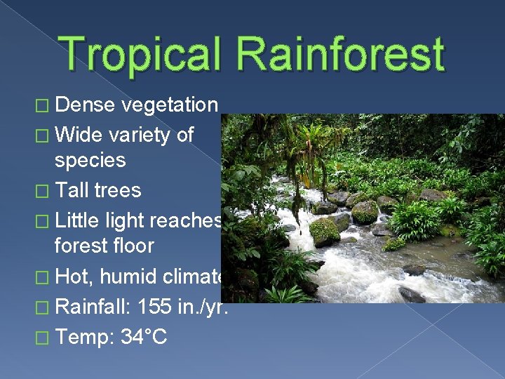 Tropical Rainforest � Dense vegetation � Wide variety of species � Tall trees �