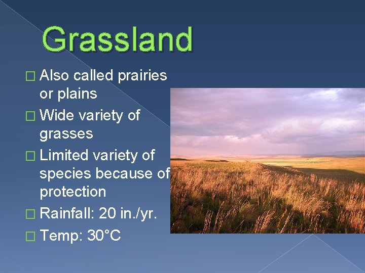 Grassland � Also called prairies or plains � Wide variety of grasses � Limited