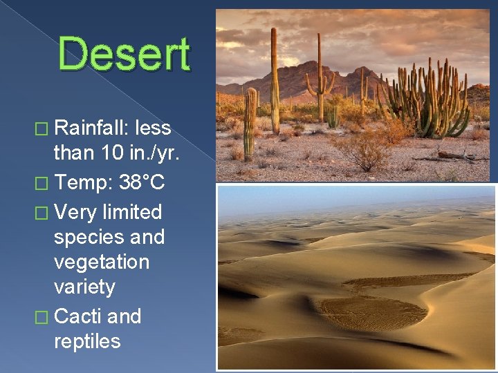 Desert � Rainfall: less than 10 in. /yr. � Temp: 38°C � Very limited