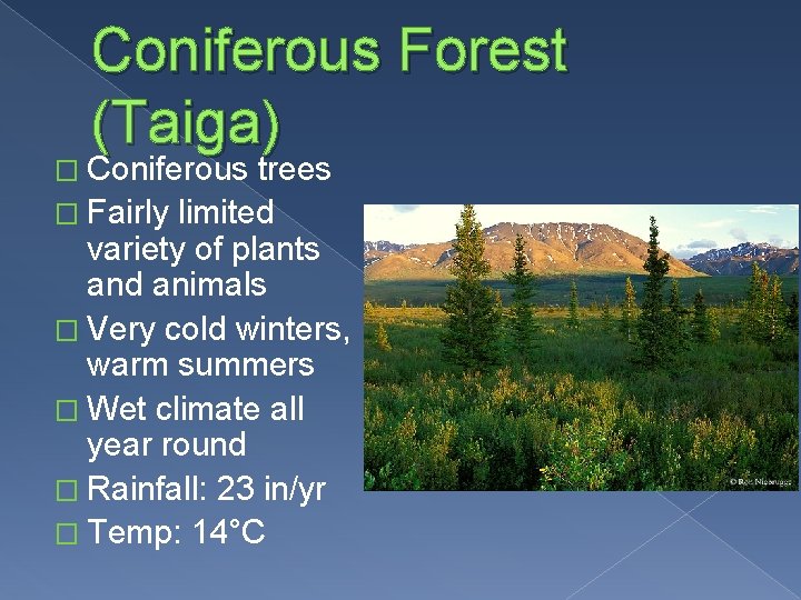 Coniferous Forest (Taiga) � Coniferous trees � Fairly limited variety of plants and animals